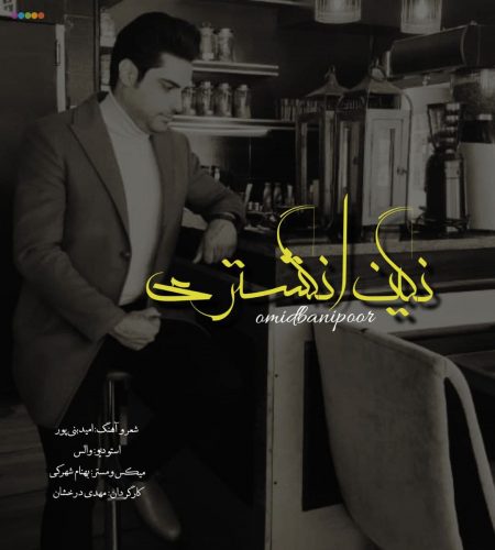 امید بنی پور - نگین انگشتری